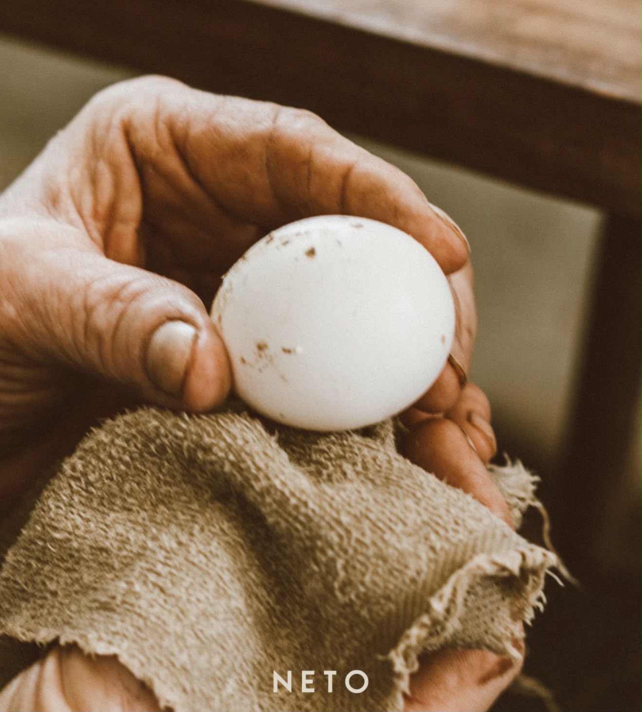NETO  produce 6.000 huevos diarios en Justiniano Posse 